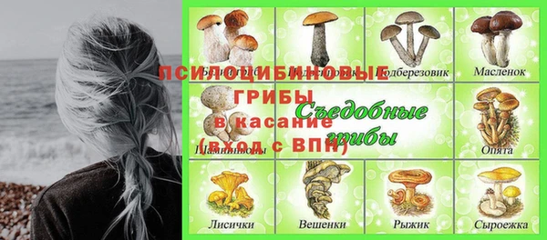 индика Рославль