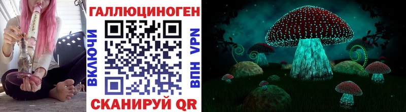 кракен ссылки  darknet наркотические препараты  Спасск  Псилоцибиновые грибы ЛСД  даркнет сайт 